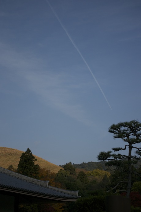 d0027244_2159565.jpg