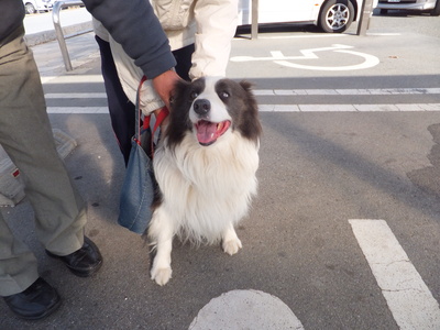 b0177649_2244269.jpg