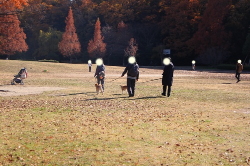 f0245650_11402460.jpg
