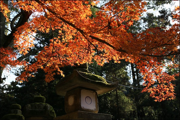 手向山八幡宮から茶屋へ　～奈良撮影オフ会（９）_f0140054_8461729.jpg