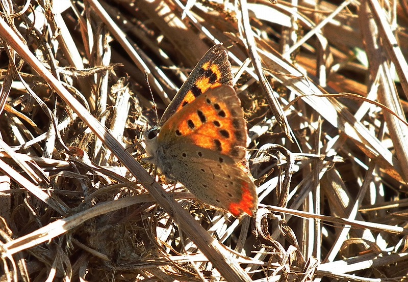 a0018655_202869.jpg