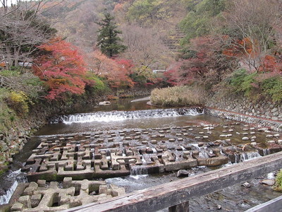 京都の秋と娘とsatobooさん_f0129557_22273222.jpg