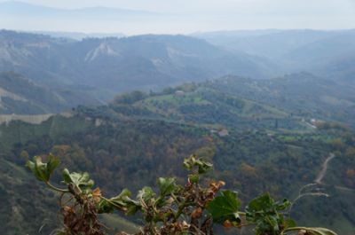 d0224362_20195427.jpg