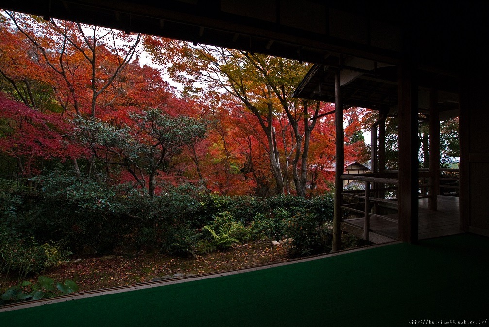 ２０１３紅葉～直指庵_f0102363_13554966.jpg