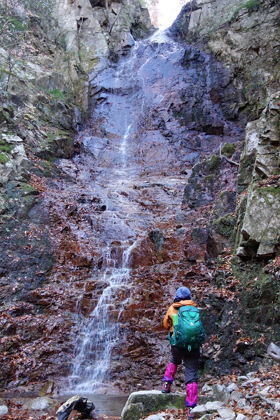a0111064_1364464.jpg