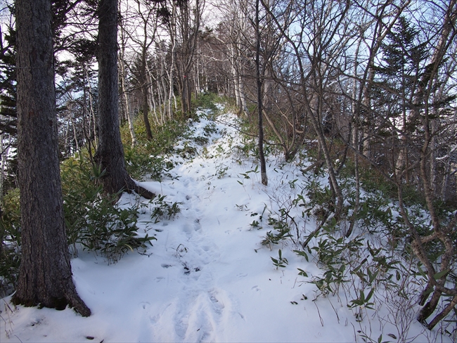 白雲山へ♪登ってみた。の巻　☆2013.12.08☆_b0281366_1540116.jpg