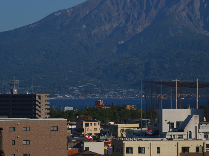 せんだんと桜島_a0260570_113851.jpg