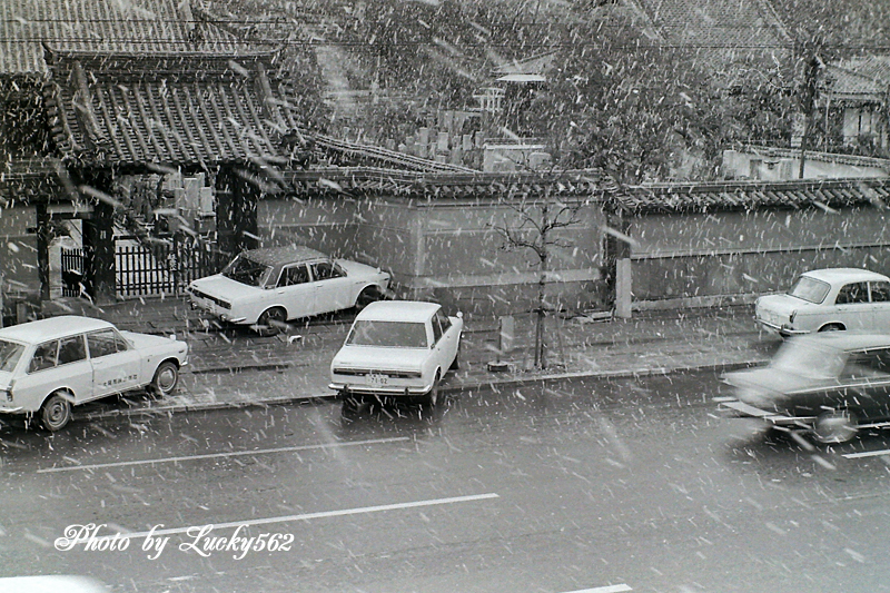 e0002371_1325378.jpg