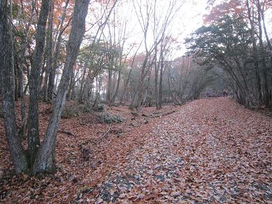 蛇谷ヶ峰　　山頂は360度の大展望　その2_f0302771_14544930.jpg