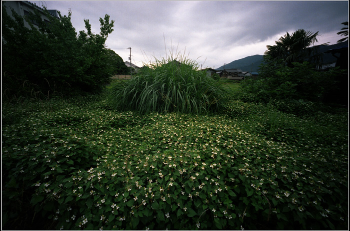 c0168172_21534426.jpg