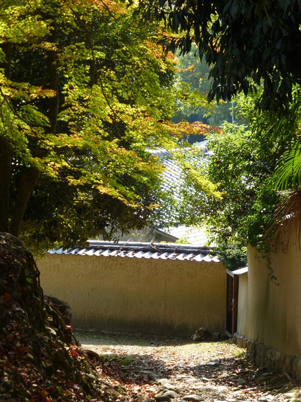 d0042474_013462.jpg