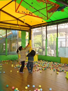 d0161578_16515830.jpg
