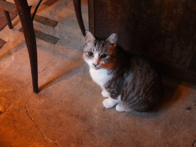 まどろむ_a0180681_13251095.jpg