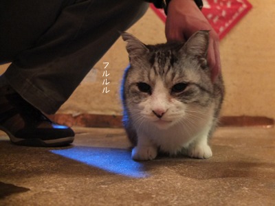 まどろむ_a0180681_18454056.jpg