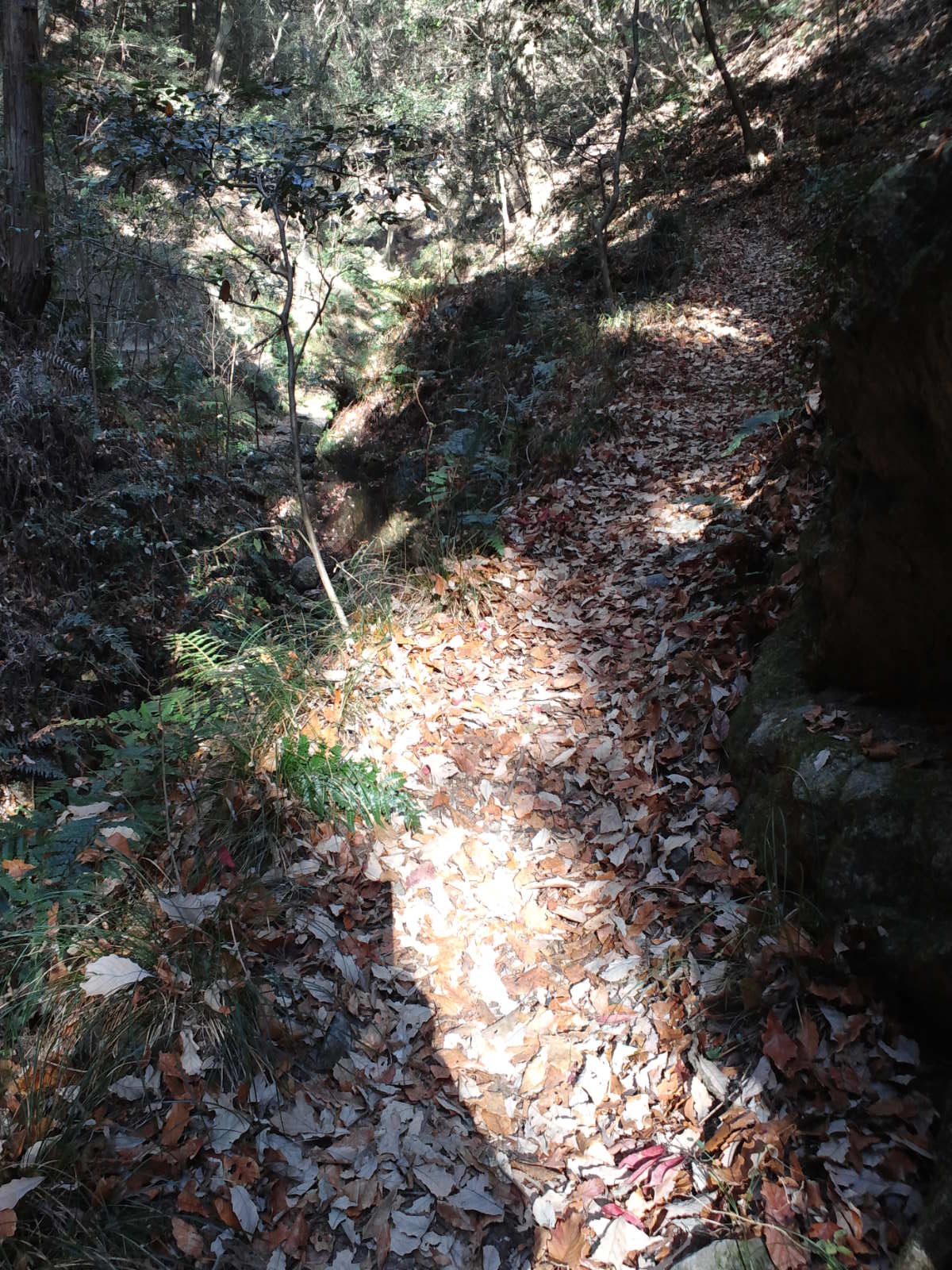 e0024081_15395802.jpg