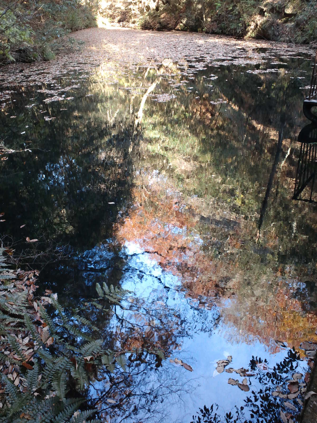 e0024081_15405844.jpg