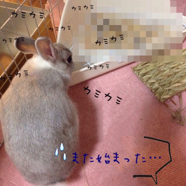 f0306186_13105078.jpg