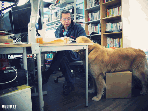 b0146688_1211291.gif