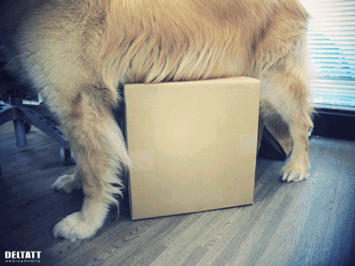 b0146688_1283489.gif