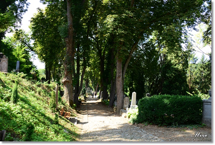f0236388_11304852.jpg