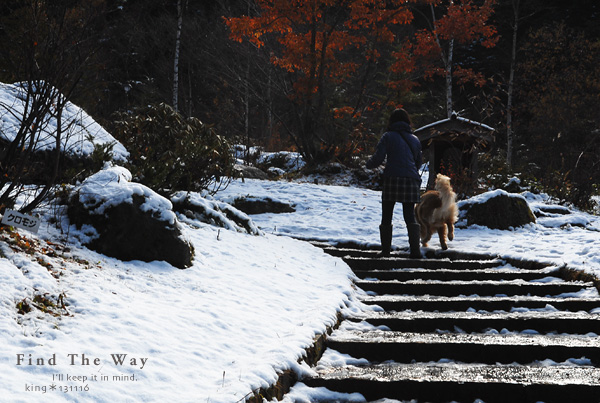 【wanこ】高山オフ 2013 vol.3 ~ 平湯大滝_f0054594_3375930.jpg