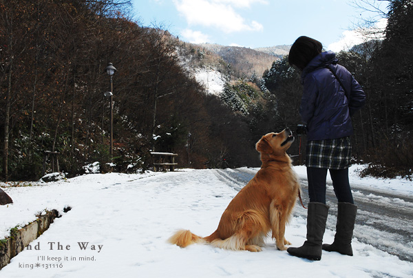【wanこ】高山オフ 2013 vol.3 ~ 平湯大滝_f0054594_3382852.jpg