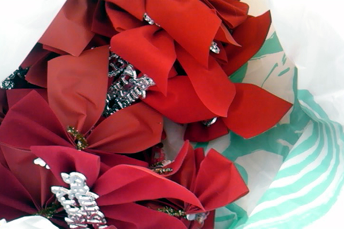f0008597_1644246.jpg