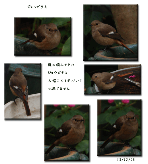 c0051105_00435147.gif