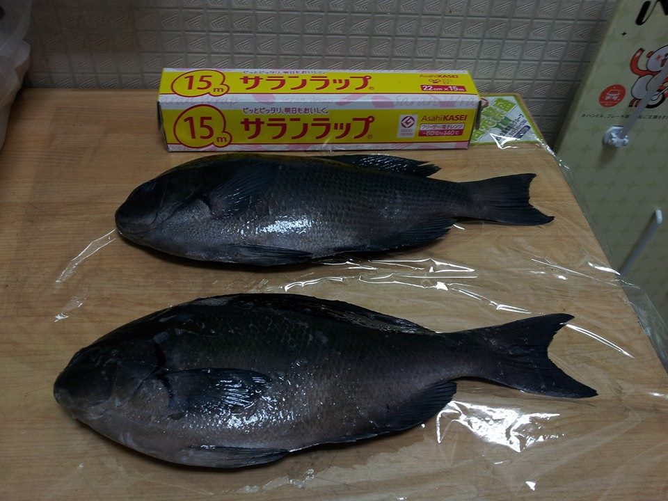 f0061705_2045251.jpg