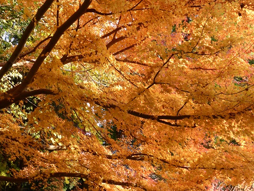 門司レトロと功山寺_a0139908_22295034.jpg