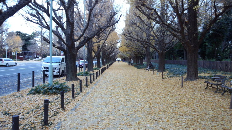e0027711_8174232.jpg