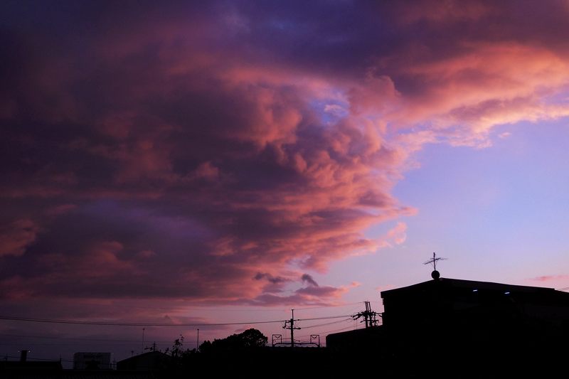 f0032011_19341157.jpg