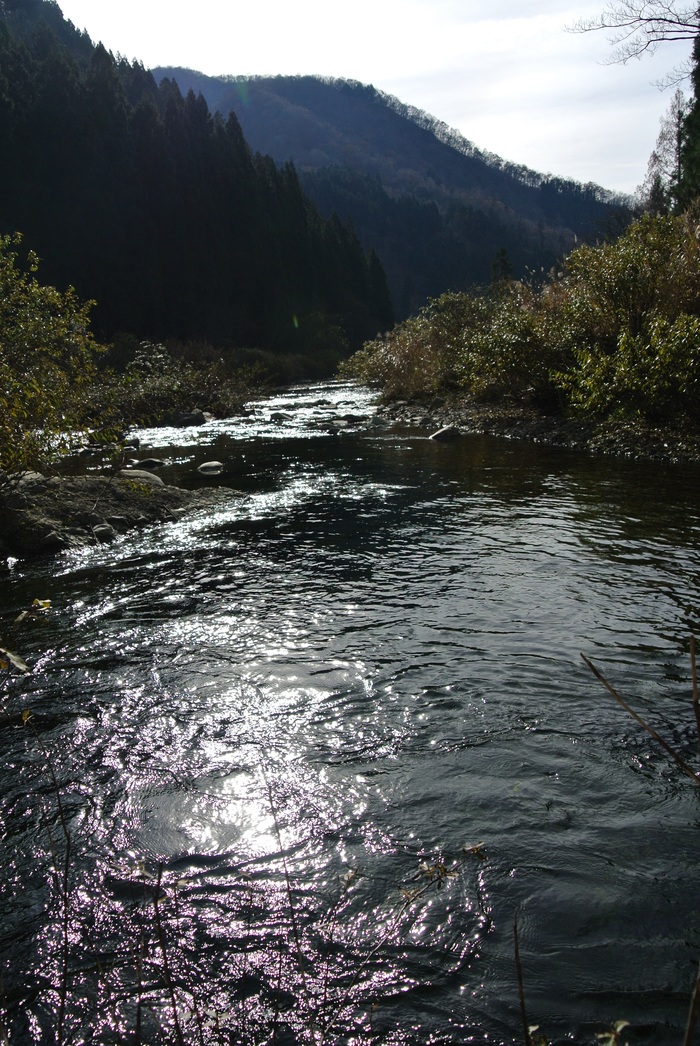 d0327814_1622989.jpg