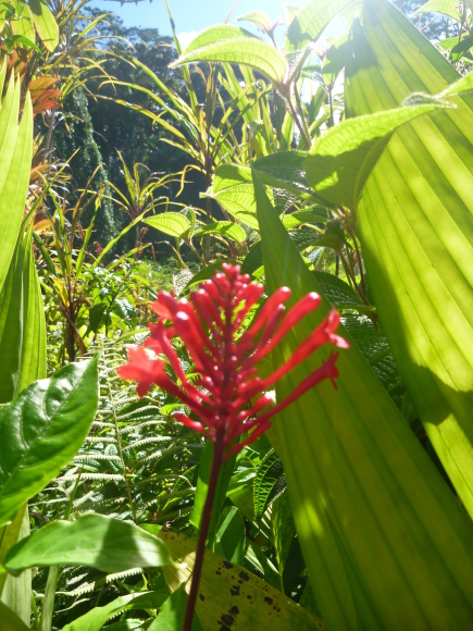 e0256814_16282279.jpg