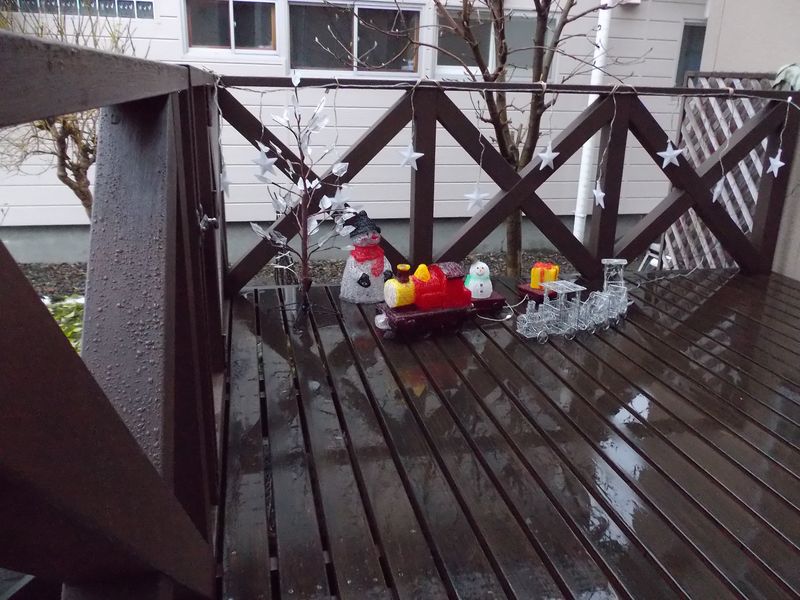 雪は消え、結局暴風雨にはなりませんでした。_c0025115_21202972.jpg