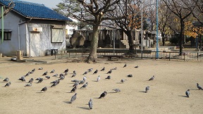 f0000521_22231840.jpg