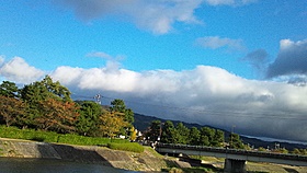 d0149223_1441051.jpg