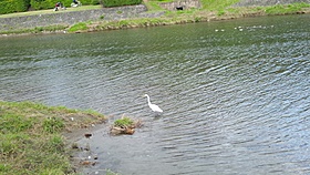 d0149223_14475749.jpg