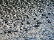 d0149223_14521020.jpg