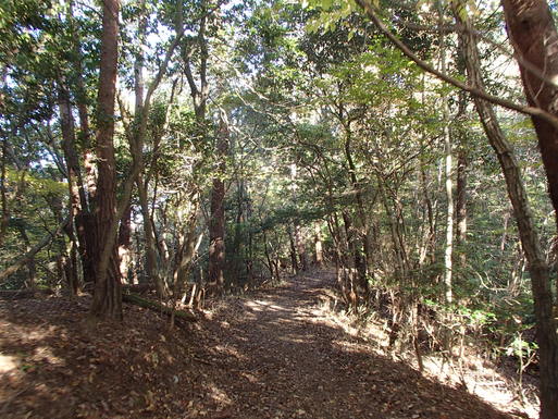 妙見山～歌垣山～剣尾山を目指すが..._a0036424_13212137.jpg