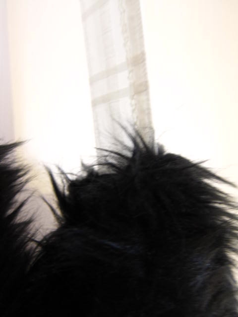 f0170424_15163724.jpg