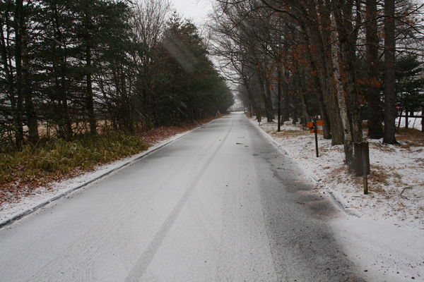 b0174425_93103.jpg