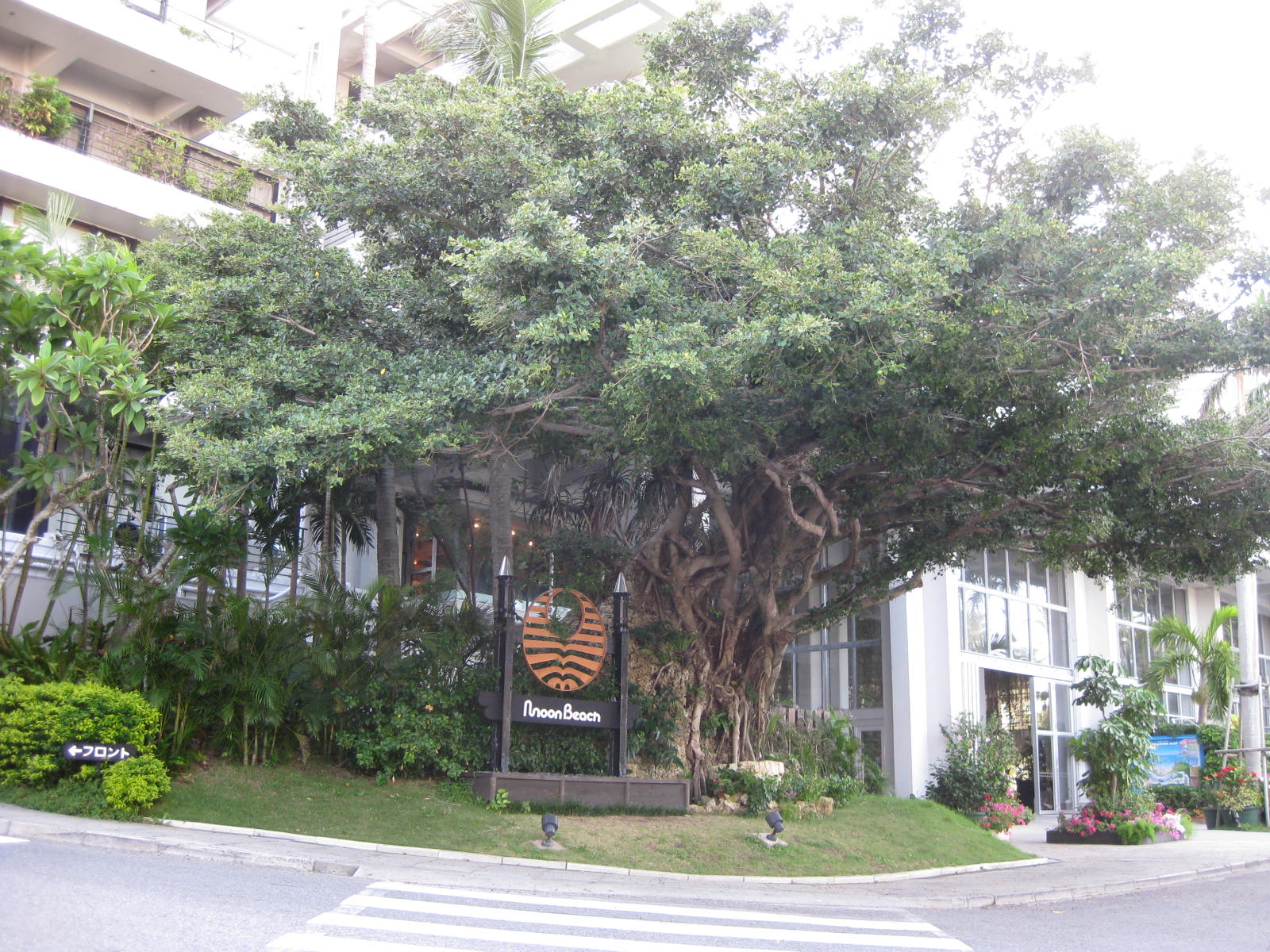 f0234427_016626.jpg