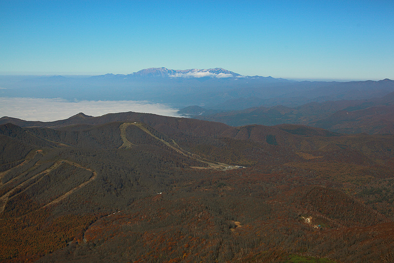 c0313231_15155561.jpg