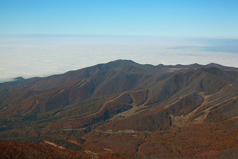 c0313231_1519359.jpg