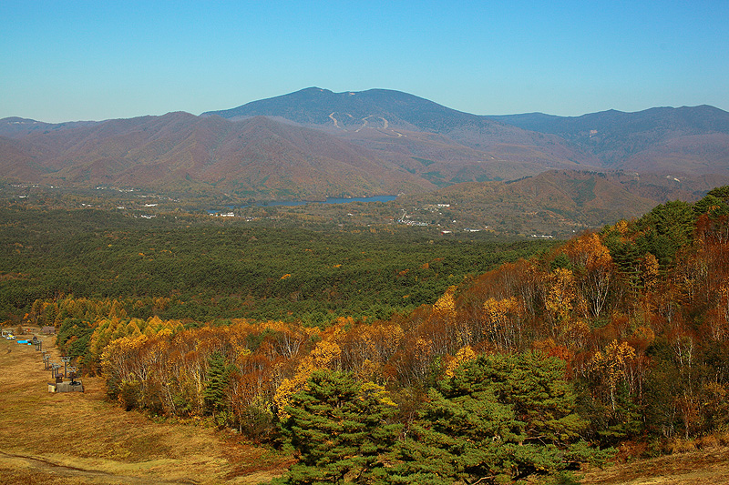 c0313231_15232627.jpg