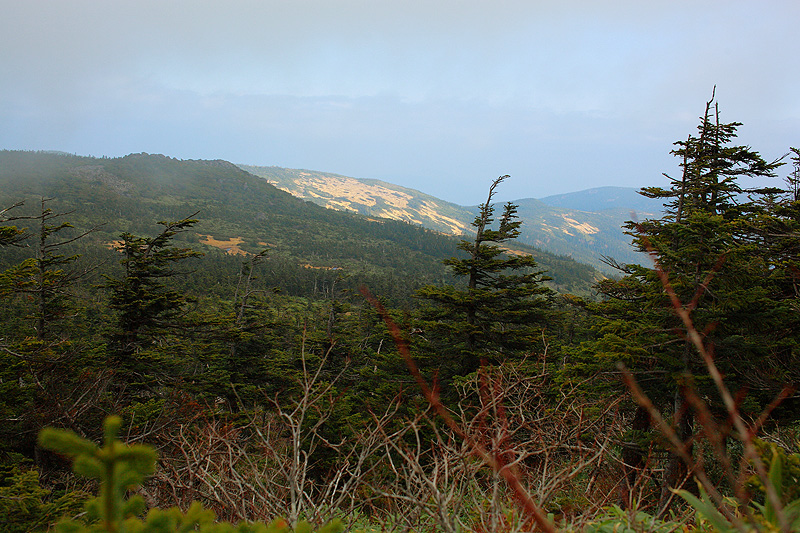 c0313231_1553384.jpg