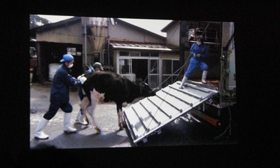 渡辺一枝トークの会「福島の声を聞こう!」8回目開かる_d0178431_392479.jpg