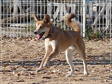 d0140133_93283.jpg