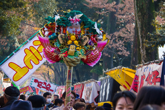 氷川神社十日市_c0229539_16261645.jpg